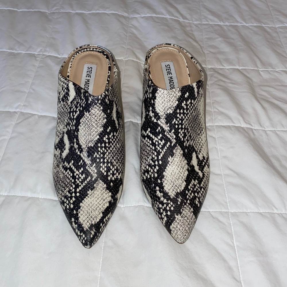 Steve Madden—8